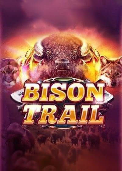 Bison Trail